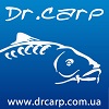 Dr.Carp