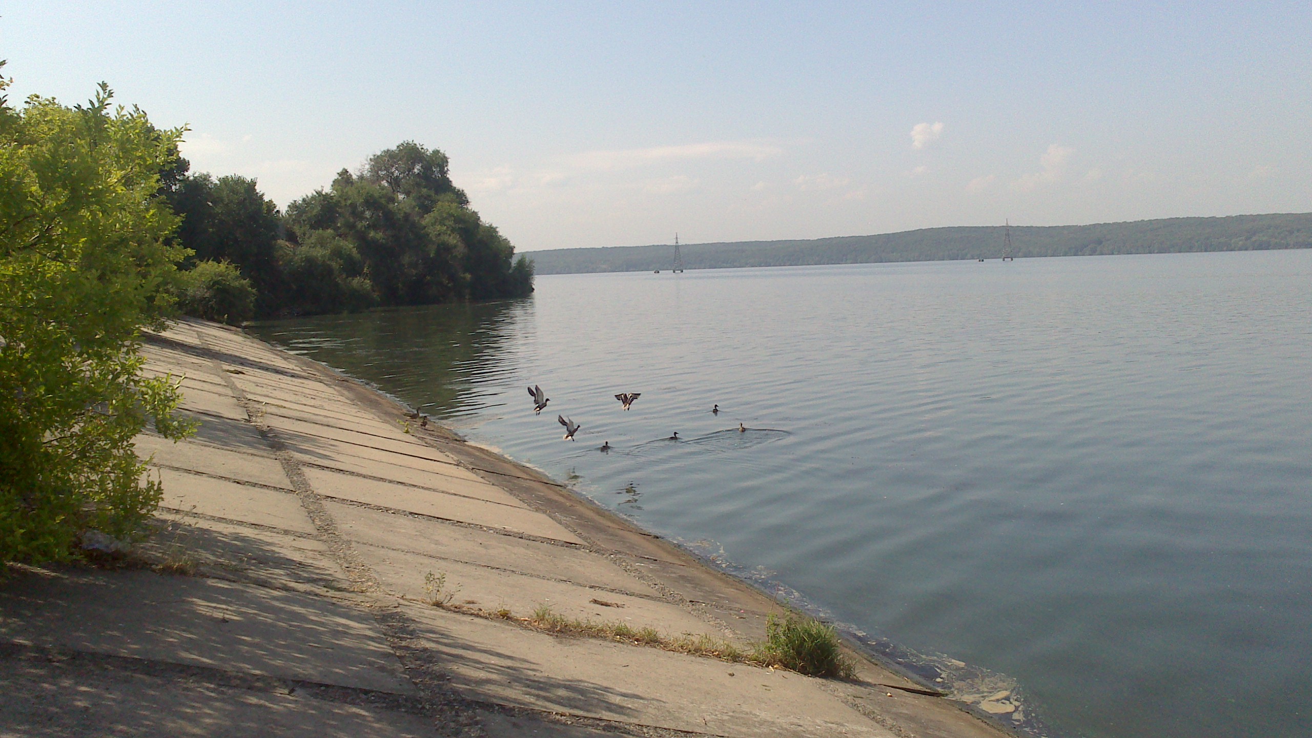 Рыбы воронежского водохранилища. Таловское море Воронежской области. Пруд Таловский Воронежская. Рыбодром Воронеж. Пруд Таловской Верхнехавский район.