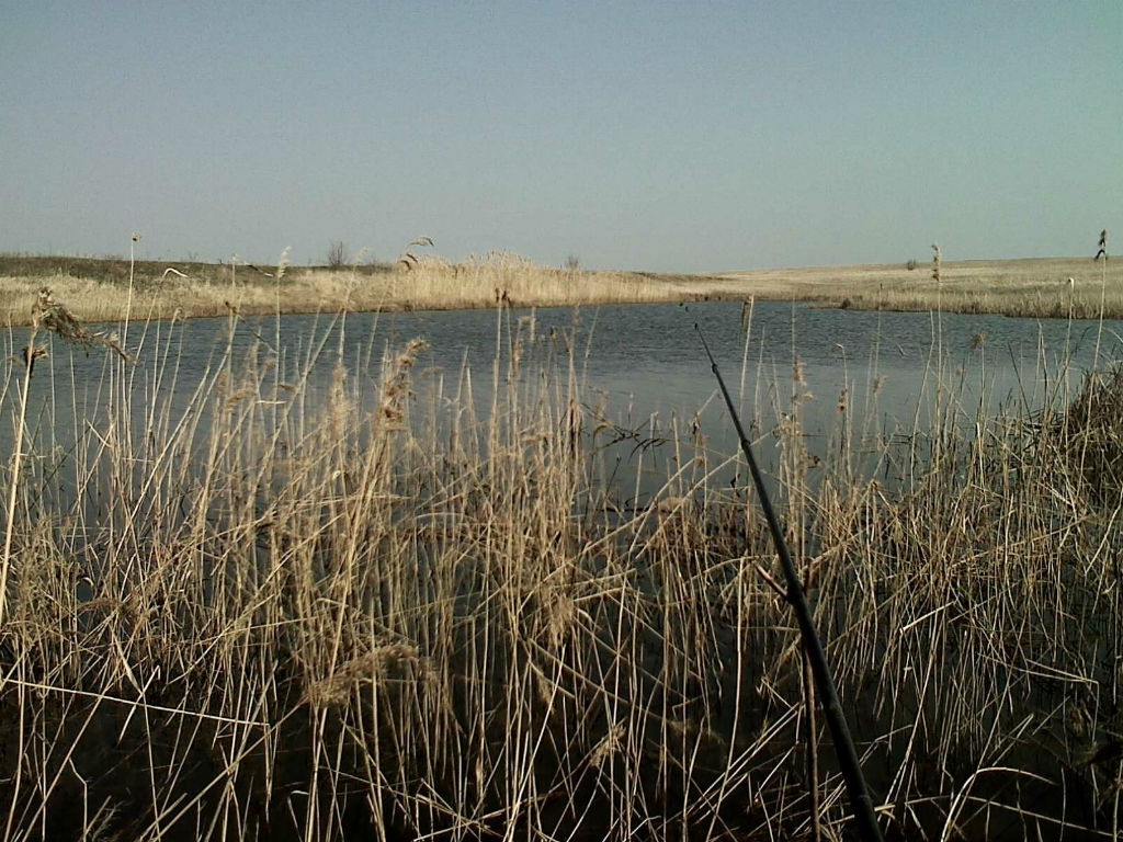 Весенняя ловля карася в степном пруду Самарской области