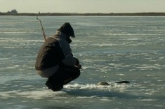 Зимняя рыбалка на балансир по первому льду